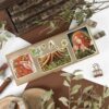 PACK WOOD ELVES — изображение 10