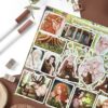 PACK WOOD ELVES — изображение 2