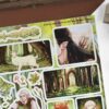 PACK WOOD ELVES — изображение 6