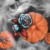 Q-PACK DARK SILENCE — изображение 3