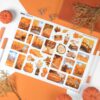 PACK PUMPKIN PIE