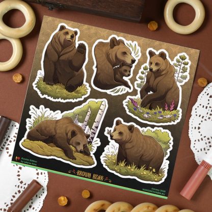 Q-PACK BROWN BEAR